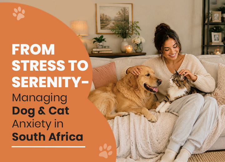 Signs of anxiety in pets